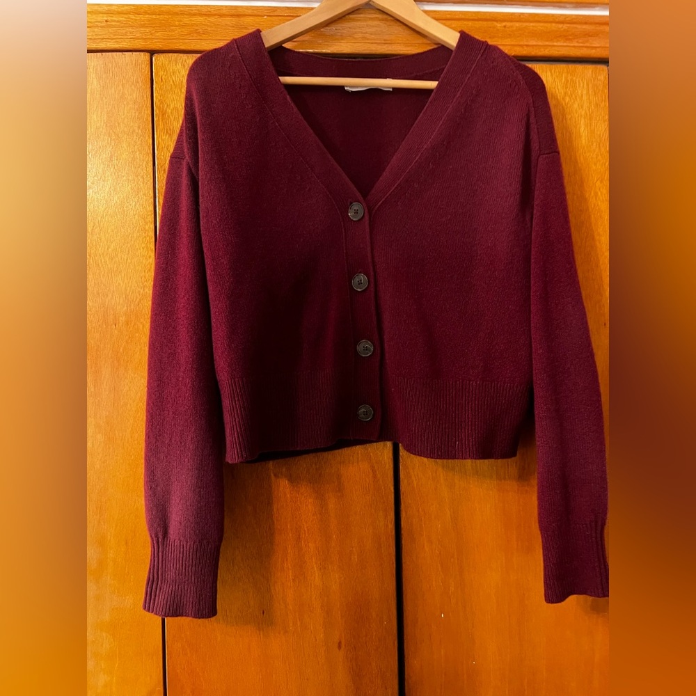 Everlane Burgundy Cashmere Sweater M
